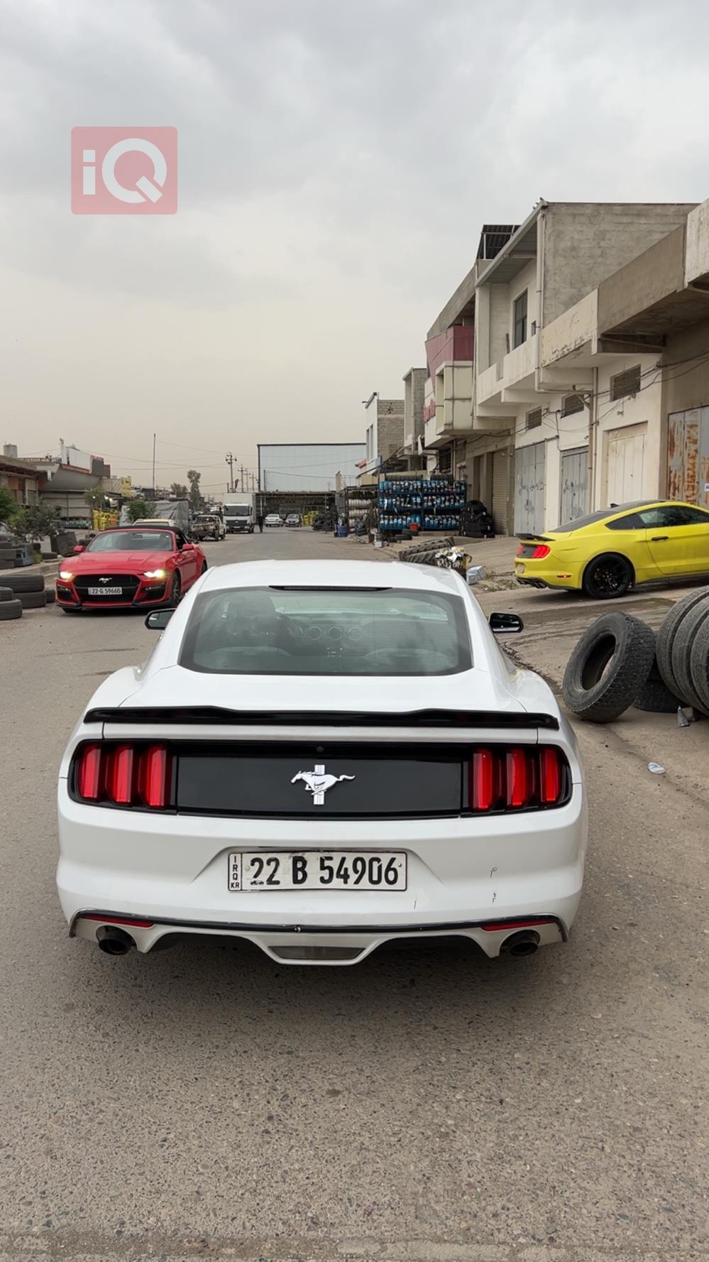 فورد موستانج